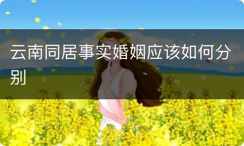 云南同居事实婚姻应该如何分别