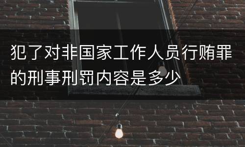 犯了对非国家工作人员行贿罪的刑事刑罚内容是多少