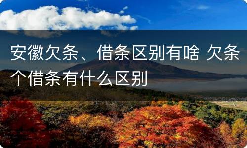 安徽欠条、借条区别有啥 欠条个借条有什么区别