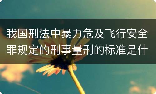我国刑法中暴力危及飞行安全罪规定的刑事量刑的标准是什么