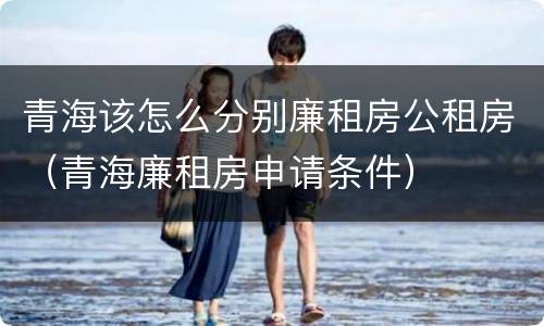 青海该怎么分别廉租房公租房（青海廉租房申请条件）