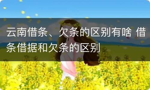 云南借条、欠条的区别有啥 借条借据和欠条的区别