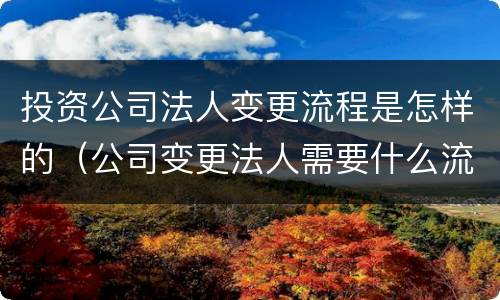 投资公司法人变更流程是怎样的（公司变更法人需要什么流程）