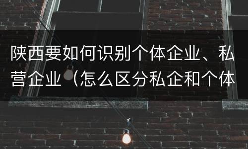 陕西要如何识别个体企业、私营企业（怎么区分私企和个体）