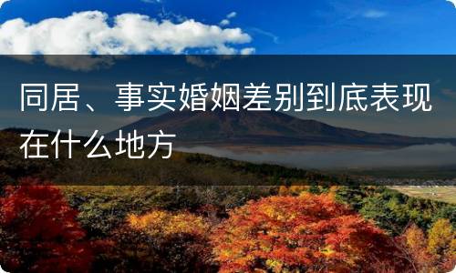 同居、事实婚姻差别到底表现在什么地方
