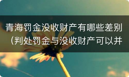 青海罚金没收财产有哪些差别（判处罚金与没收财产可以并罚吗）