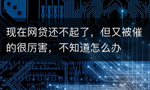 现在网贷还不起了，但又被催的很厉害，不知道怎么办