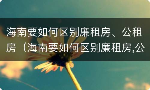 海南要如何区别廉租房、公租房（海南要如何区别廉租房,公租房和商品房）