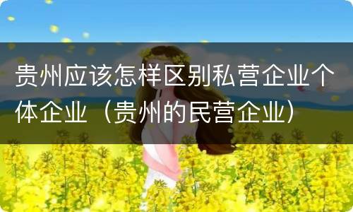 贵州应该怎样区别私营企业个体企业（贵州的民营企业）