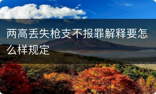 两高丢失枪支不报罪解释要怎么样规定