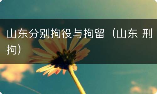 山东分别拘役与拘留（山东 刑拘）