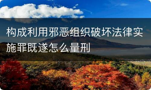 构成利用邪恶组织破坏法律实施罪既遂怎么量刑