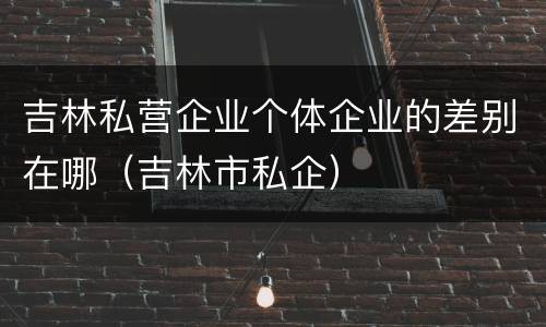 吉林私营企业个体企业的差别在哪（吉林市私企）