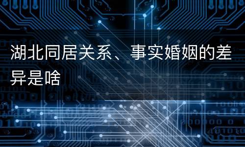 湖北同居关系、事实婚姻的差异是啥