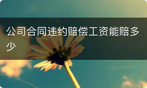 公司合同违约赔偿工资能赔多少