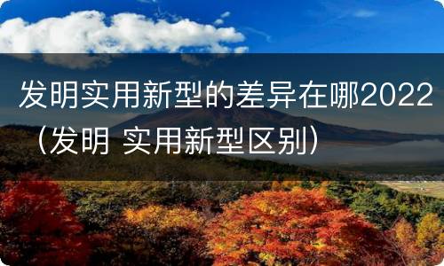 发明实用新型的差异在哪2022（发明 实用新型区别）