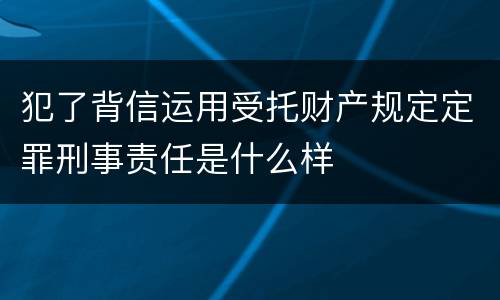 犯了背信运用受托财产规定定罪刑事责任是什么样