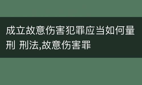成立故意伤害犯罪应当如何量刑 刑法,故意伤害罪