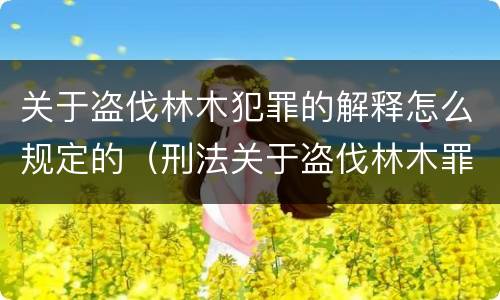 关于盗伐林木犯罪的解释怎么规定的（刑法关于盗伐林木罪）