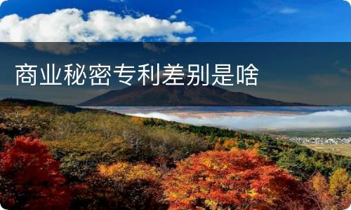 商业秘密专利差别是啥