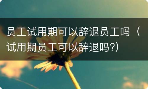 员工试用期可以辞退员工吗（试用期员工可以辞退吗?）
