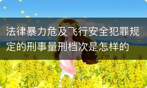 法律暴力危及飞行安全犯罪规定的刑事量刑档次是怎样的