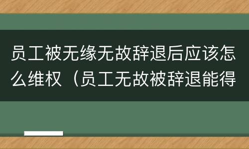 员工被无缘无故辞退后应该怎么维权（员工无故被辞退能得到哪些赔偿）
