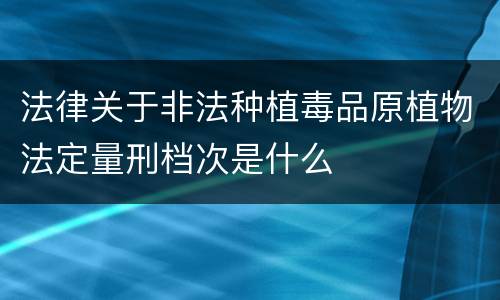 法律关于非法种植毒品原植物法定量刑档次是什么