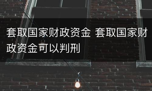 套取国家财政资金 套取国家财政资金可以判刑