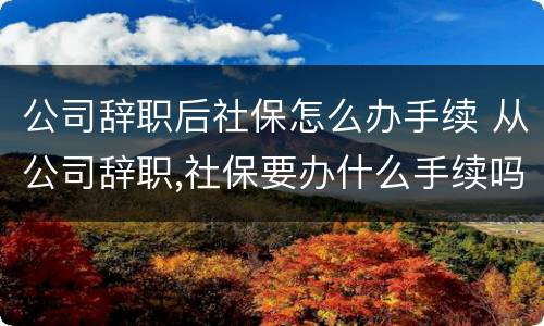 公司辞职后社保怎么办手续 从公司辞职,社保要办什么手续吗