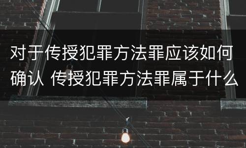 对于传授犯罪方法罪应该如何确认 传授犯罪方法罪属于什么罪