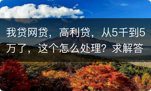 我贷网贷，高利贷，从5千到5万了，这个怎么处理？求解答