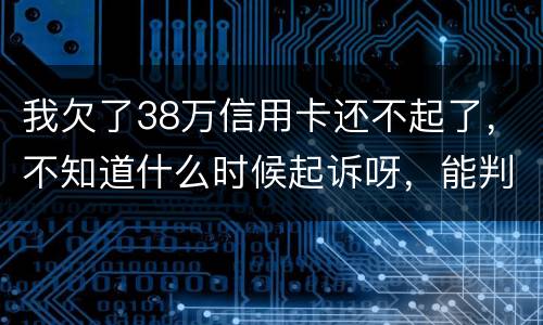 我欠了38万信用卡还不起了，不知道什么时候起诉呀，能判刑几年