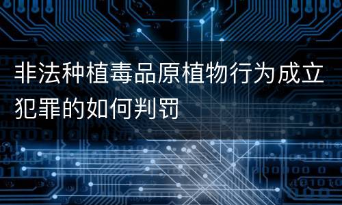 非法种植毒品原植物行为成立犯罪的如何判罚