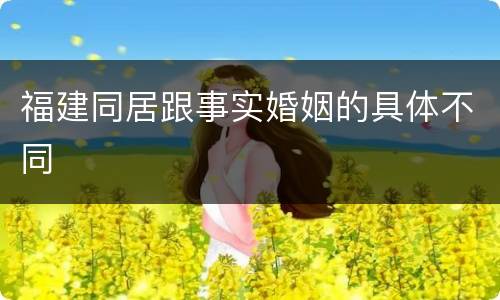福建同居跟事实婚姻的具体不同