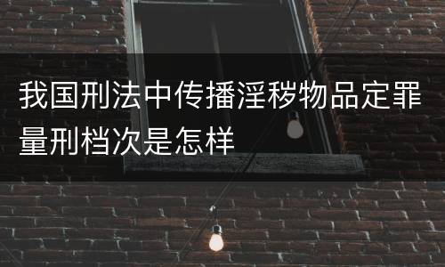 我国刑法中传播淫秽物品定罪量刑档次是怎样