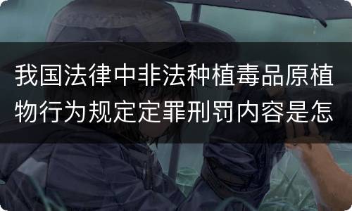 我国法律中非法种植毒品原植物行为规定定罪刑罚内容是怎样