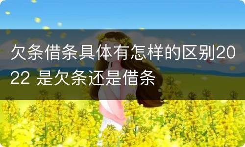 欠条借条具体有怎样的区别2022 是欠条还是借条