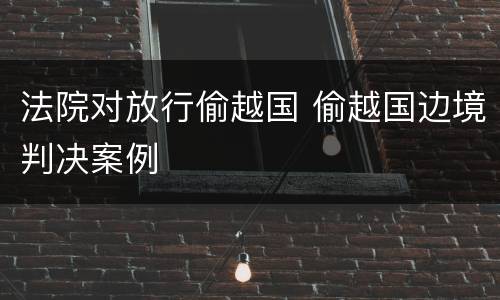 法院对放行偷越国 偷越国边境判决案例