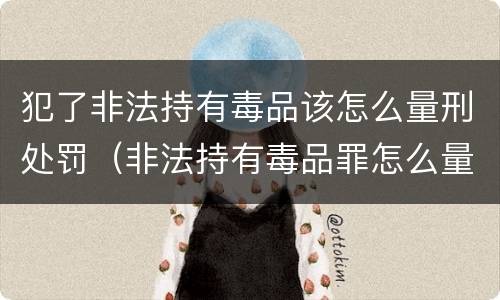 犯了非法持有毒品该怎么量刑处罚（非法持有毒品罪怎么量刑）