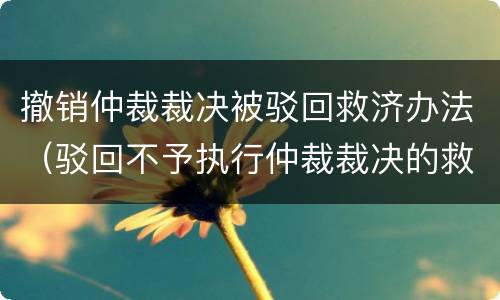 撤销仲裁裁决被驳回救济办法（驳回不予执行仲裁裁决的救济）
