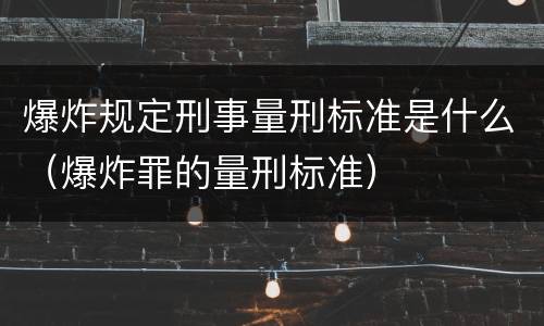 爆炸规定刑事量刑标准是什么（爆炸罪的量刑标准）