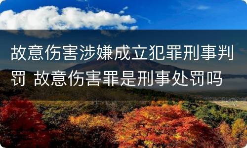 故意伤害涉嫌成立犯罪刑事判罚 故意伤害罪是刑事处罚吗
