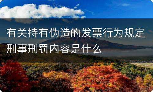 有关持有伪造的发票行为规定刑事刑罚内容是什么
