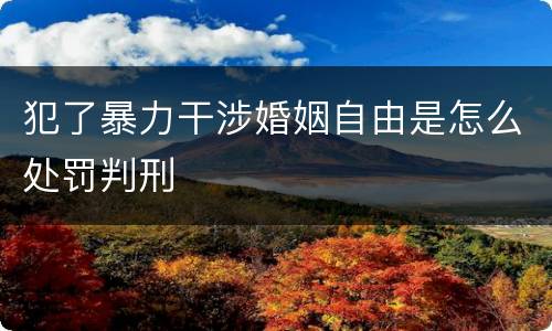 犯了暴力干涉婚姻自由是怎么处罚判刑