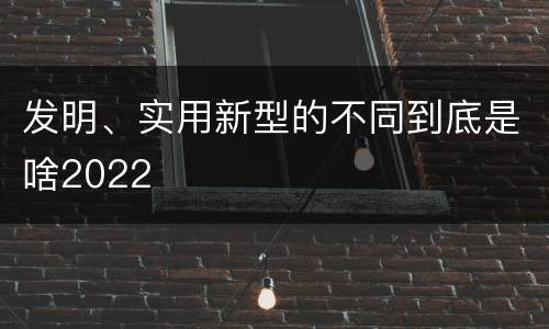 发明、实用新型的不同到底是啥2022