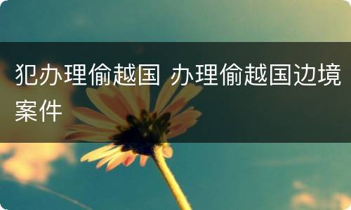 犯办理偷越国 办理偷越国边境案件