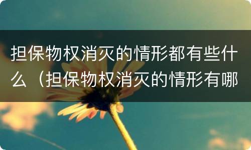 担保物权消灭的情形都有些什么（担保物权消灭的情形有哪些）