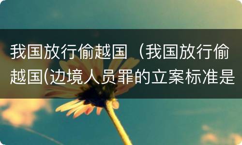 我国放行偷越国（我国放行偷越国(边境人员罪的立案标准是怎么规定）