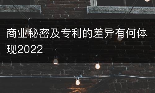 商业秘密及专利的差异有何体现2022